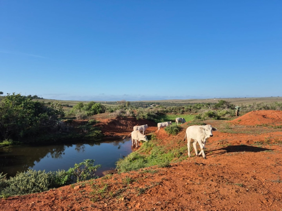 Commercial Property for Sale in Gouritsmond Rural Western Cape